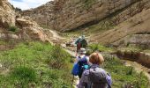 Trail Walking Vauvenargues - Vimont.helene - Photo 16