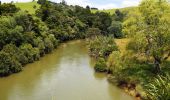 Tour Zu Fuß Rodney - Te Araroa - 02 Auckland - d Puhoi Valley to Puhoi - Photo 3