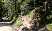 Tour Wandern Woll - Autour du Lac des Corbeaux - Photo 5