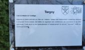 Percorso Marcia Rouvroy - gite-de-gaume:  la troisième cuesta - Photo 9
