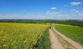 Tour Wandern Goesdorf - Goebelsmühle - Bourscheid - Dirbach - Photo 11