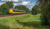 Tour Zu Fuß Lochem - Gorsselse Heide route - Photo 6