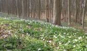 Tour Wandern Braine-l’Alleud - rando Françoise 2023.04.14 - Photo 2