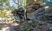 Trail Walking Fontainebleau - Sentier Denecourt 1 - Photo 10