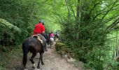 Tocht Paardrijden Broto - Parc National d’Ordessa J2 pm Oto-Torla - Photo 7