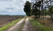 Tocht Stappen Pelt - De Wulp Hageven Grote Heide 24 km - Photo 15