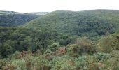 Tocht Te voet Somerset West and Taunton - Dunkery and Horner Wood circular walk - Photo 1