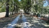 Tour Wandern Vouthon - De Vouton en passant par Montbron avec retour par La Fenêtre  - Photo 11