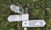 Tour Zu Fuß Baiersbronn - Obertal - Ruhestein - Photo 2