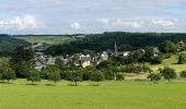 Tocht Te voet Üdersdorf - HeimatSpur Wasser- und Felsenweg - Photo 9