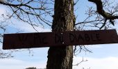 Tour Wandern Bouillon - Corbion  - Photo 6