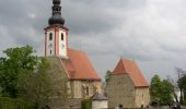 Tocht Te voet Gemeinde Würflach - Würflach - Lärbaumkreuz - Photo 4