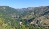 Tour Wandern Gorges du Tarn Causses - Camping les osiers fraissinet par les moines -moujiks - Photo 9