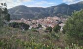 Tour Wandern Cerbère - Cerbère-Port Bou -Colera - Photo 12