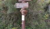 Trail Walking Aspremont -  le tour du Mont Chauve d'Aspremont - Photo 4