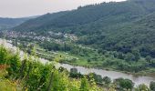 Trail Walking Moselkern - ringelsteiner muhle vers village Moselkern  - Photo 2