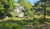 Tour Wandern Milly-la-Forêt - Milly-la-Forêt - Forêt domaniale des Trois pignons - Curiosités  - Photo 10