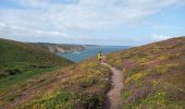 Tocht Stappen Plévenon - Cap Fréhel et Fort la Latte 5.7.23 - Photo 9