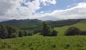 Trail Walking Omblèze - font d urle - Photo 8