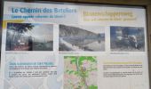 Percorso Marcia Hastière - hastiere_Dinant par chemin des bateliers - Photo 5