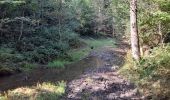 Excursión Bici de montaña Florennes - Flavion - Hastière en passant par la vallée de la Hermeton - Photo 1