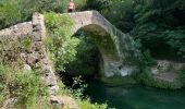 Randonnée Marche Montauroux - St Cezaire : gorges de la Siagne  - Photo 7