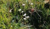 Tour Wandern Val-Cenis - plan Dulac 2020 - Photo 2