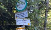 Trail Walking Plancher-les-Mines - 130722 - La planche des belles - au pieds du Ballons d’Alsaces - Photo 3