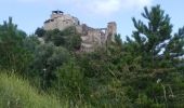 Randonnée Marche Piégros-la-Clastre - cht de Piegros, chap de Médard - Photo 6