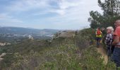 Trail Walking La Ciotat - la ciotat - Photo 2