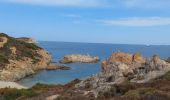 Tour Wandern Calvi - Phare de Revellata - Photo 10