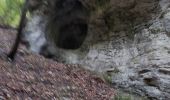 Randonnée Marche Le Chaffal - Arches de Combleroufle - Photo 10