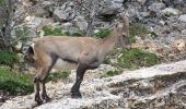 Tocht Stappen Die - Le Glandasse (Abbaye-Comptoir à moutons-Fauchard-Abbaye) - Photo 11