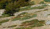 Percorso A piedi Petralia Sottana - Cresta della Quacella - Photo 1