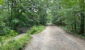 Randonnée Marche Meudon - la Forêt Domaniale de Meudon (2) - Photo 3