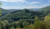 Randonnée Marche Bouillon - Lés échelles de Rochehaut - Photo 13