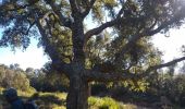 Randonnée Marche Le Lavandou - Le Lavandou Cavalières le Temple d'Hercule  - Photo 5