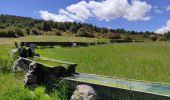 Randonnée Marche Castellane - Mandarom l'acide castillion - Photo 2