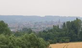 Tour Elektrofahrrad Ronse - tour Chapelle Wittentack et chemins - Photo 3