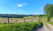 Tour Wandern Vielsalm - fraiture - plateau des tailles  - Photo 3