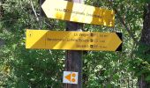 Trail Walking Barcelonnette - PROMENADE A BARCELONNETTE  - Photo 18