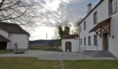 Tour Zu Fuß Reiden - Reiden - Höferberg - Photo 1