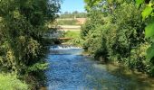 Tocht Stappen Remiencourt - le bois du roi  Remiencourt 80 - Photo 6