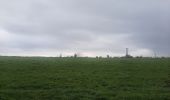 Trail Walking Marche-en-Famenne - adeps Ligniere  - Photo 6