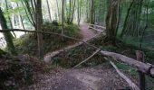 Randonnée Marche Villedômer - Villedômer - Le sentier des Bois - 22.4km 265m 5h05 (25mn) - 2019 08 10 - Photo 7