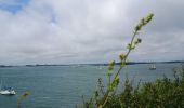 Tour Wandern Arzon - Port Navallo - Photo 5