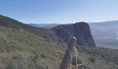 Tocht Stappen Appietto - Mont Gozzi en partant de la chapelle San Chirgu d'Appieto - Photo 6