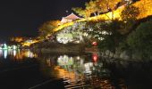Randonnée Autre activité Unknown - Festival des lanternes Jinju  - Photo 16