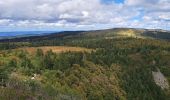 Trail Walking Le Valtin - VOSGES 2023 - Col de la Schlucht - Les Rochers de Hirschteine - Photo 3