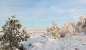 Randonnée Marche Spa - tour de la fagne de Malchamps dans la neige  - Photo 9